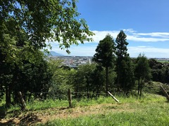 興国寺城 (5)