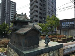 IMG_2985