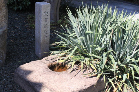 2012 福井遠征 (36)