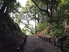 掛川古城 (2)