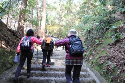 静岡遠征 (87)