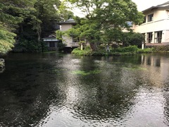 富士宮浅間大社 (6)