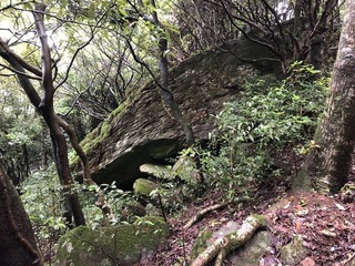 星が城 (30)