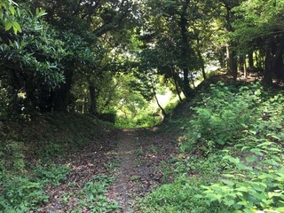 IMG_0234