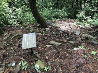 星が城 (37)
