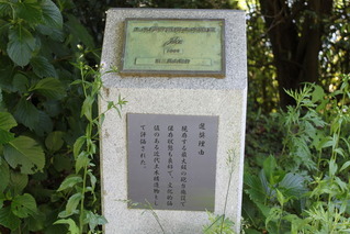 三高山砲台 (2)