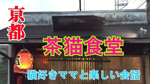 茶猫さむね