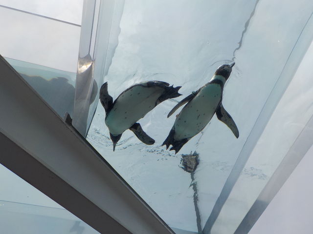 DSCN0167