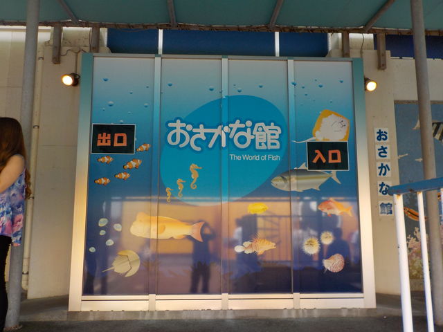 DSCN0162