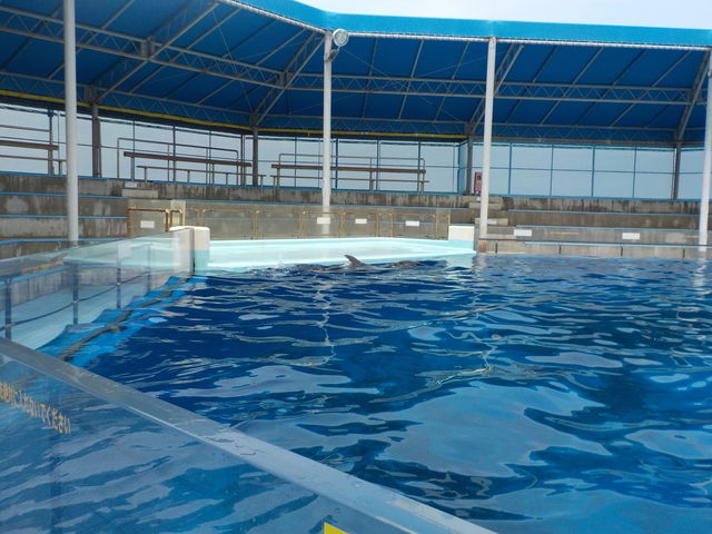DSCN0166