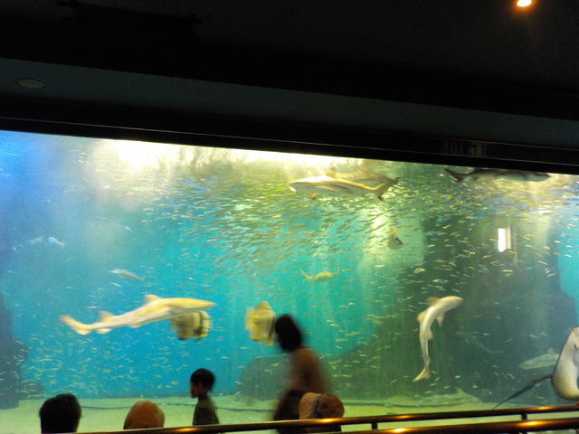 DSCN0179