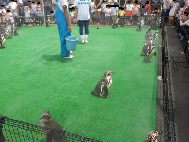 DSCN0176_LI