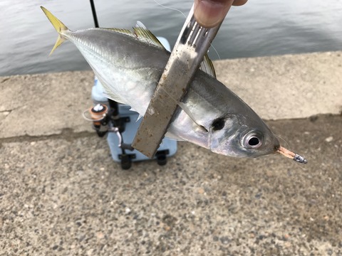 C4C3F06B-41D8-4019-B97E-B3301767FAC5