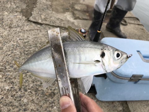 1F3DFA67-1635-415C-A52F-F75E58E99A51