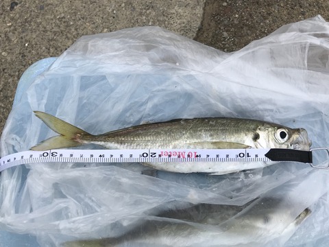 7C60CA7A-57BF-4D5A-AD0B-82A89208D191