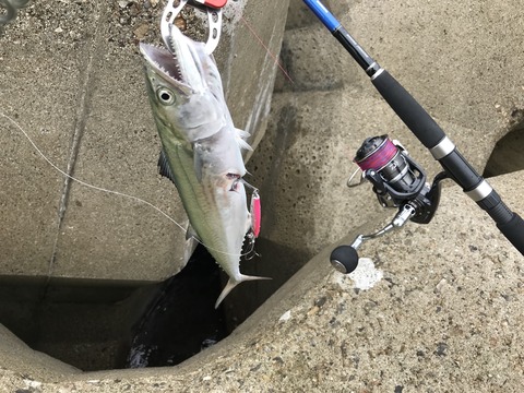 4BE94757-87FC-4CBD-91A1-36E00AC10683