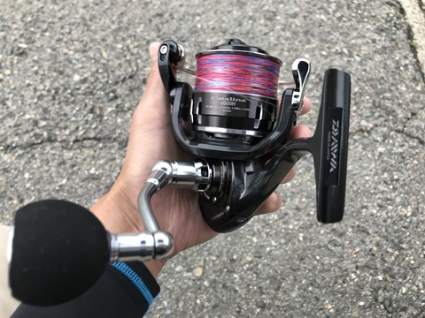 D12CE751-D437-467A-8ABF-BA40642F1484