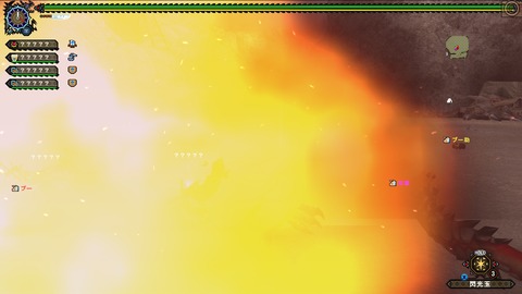 mhf_20170531_092240_550