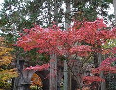 水路橋と紅葉(南禅寺)