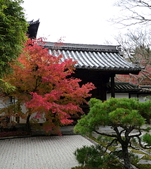南禅寺 天授庵