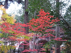 水路橋と紅葉(南禅寺)