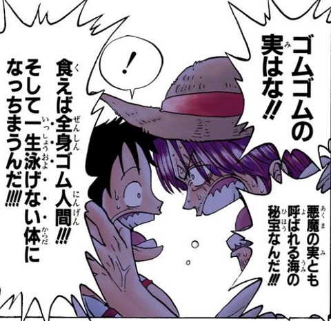 ルフィ シャンクス 悪魔の実 ゴムゴム