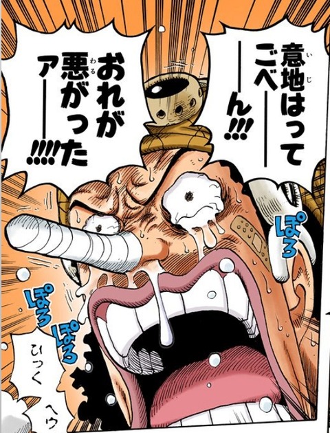 ウソップ 俺が悪かった 謝る