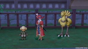 シャントット様