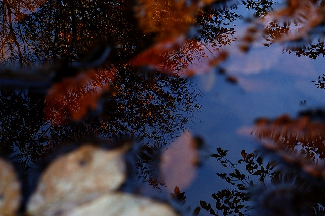 IMGP5580-1