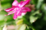 1c46e0f8.jpg