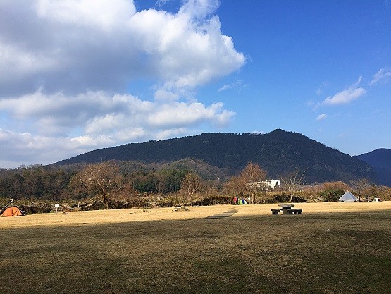 2017020512