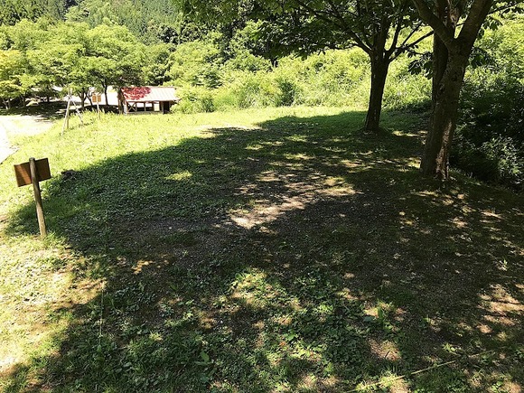 2018062021