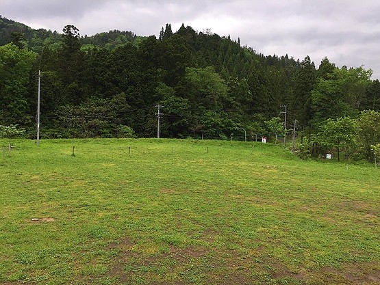 2017051513