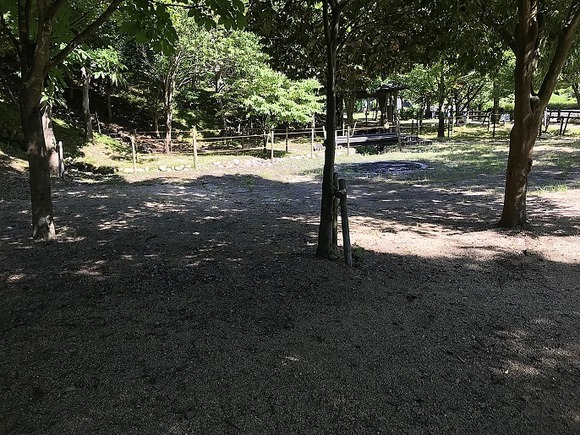 2018071620