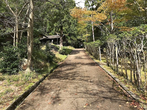 2018103101 (2)
