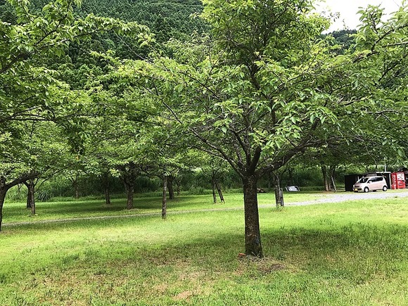 2017080609