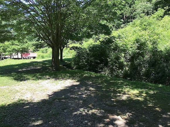 2018062020