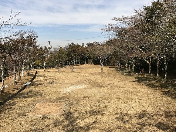 2018031132