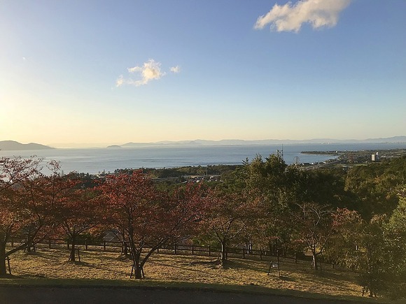 2018103109 (1)