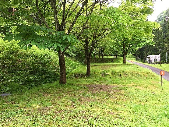 2017051529