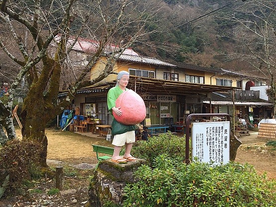2017020509