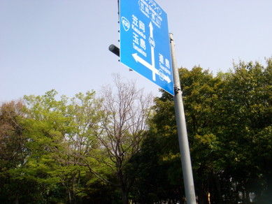 DSC02428