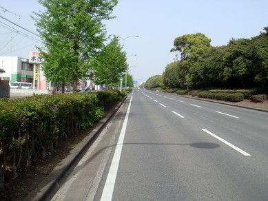 DSC02426