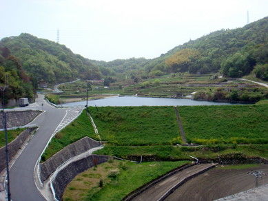 DSC02454
