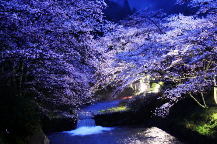 Ϥ餮¤ÎÆ»