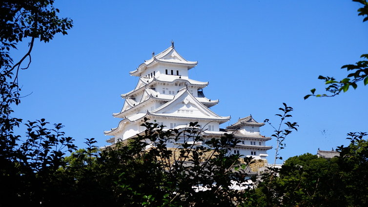 ɱϩ¾ë2015ǯ
