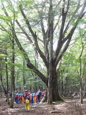 DSCN5505