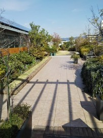 270x360サリュ庭100
