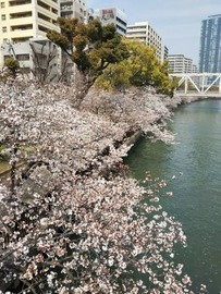 270x360桜川104