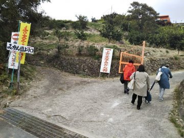 360x270入口みかん園14908